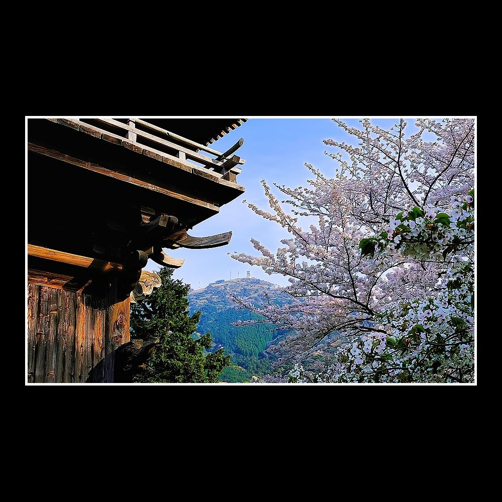 龍潜寺からの皿倉山