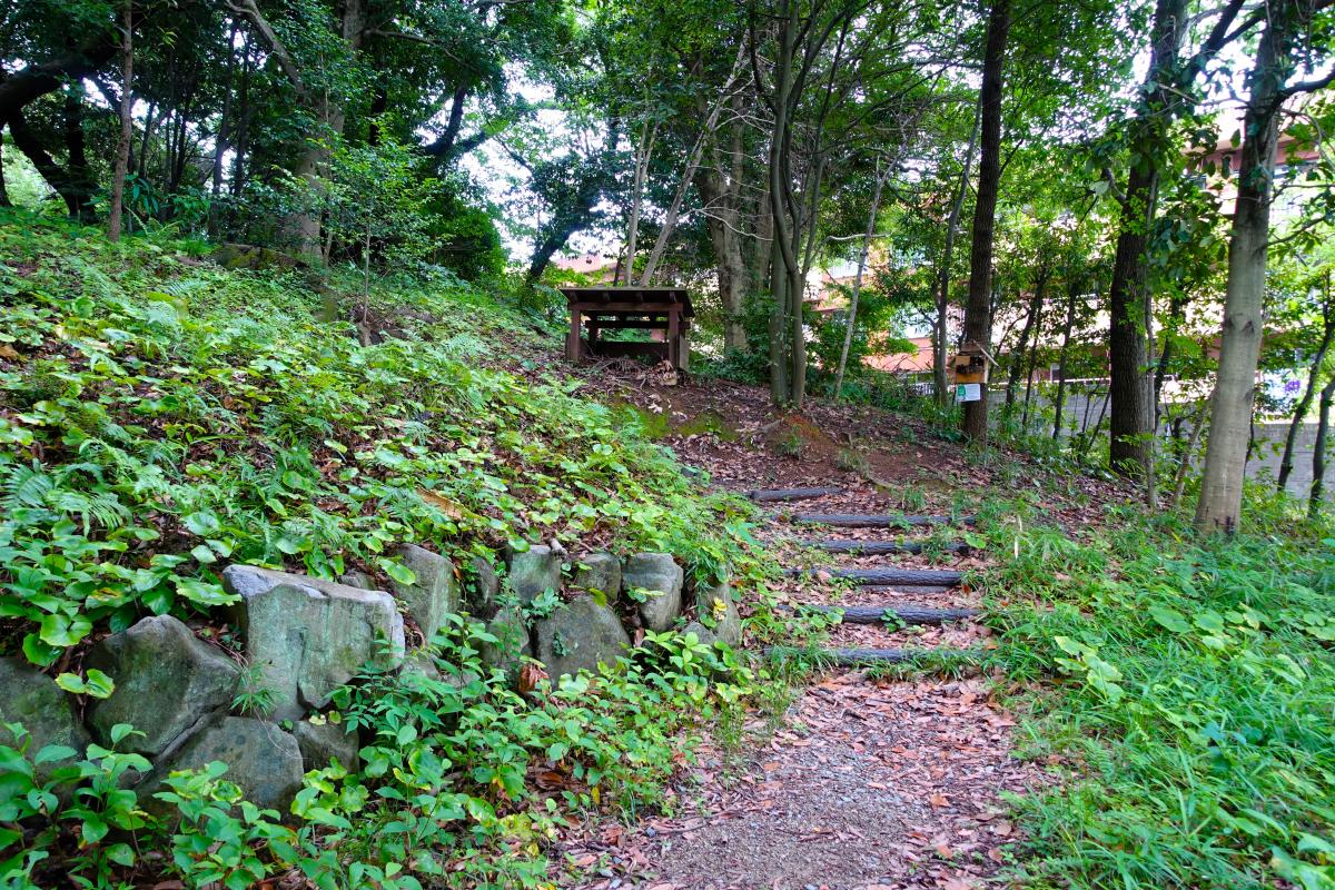到津の森公園　散策の径