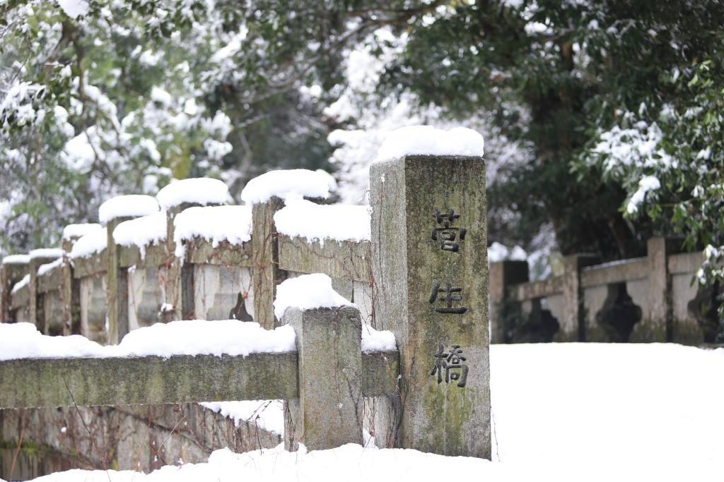 菅生の滝の雪化粧