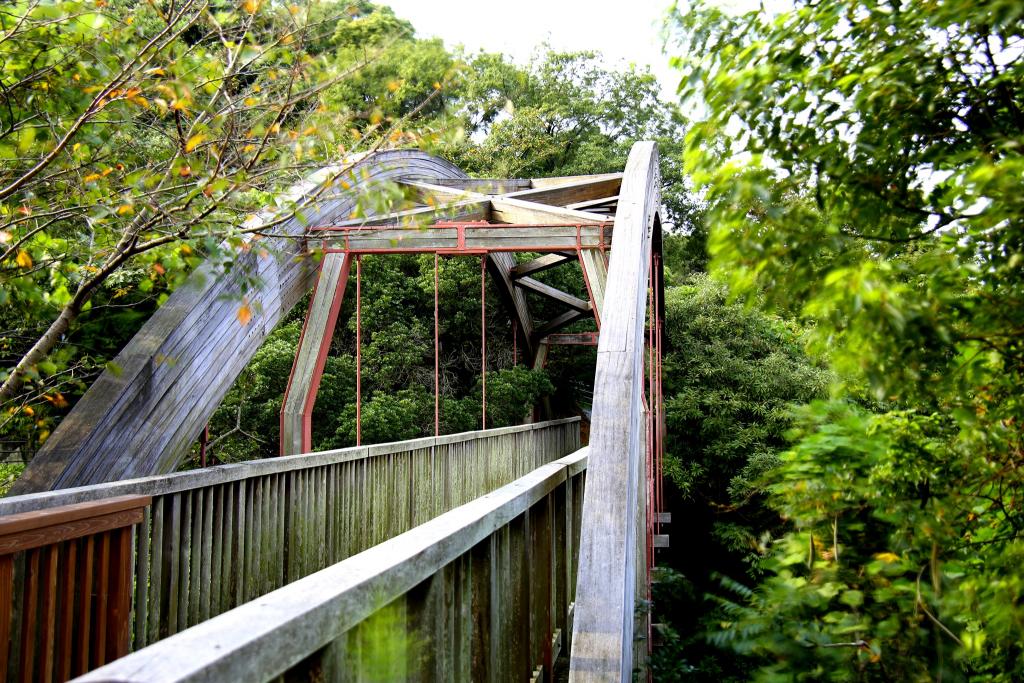 木の橋：下路アーチ橋
